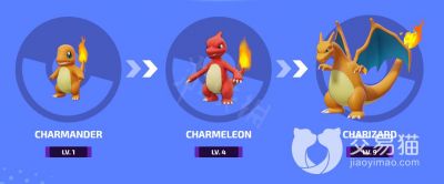 宝可梦大集结手游开服指南FAQ全攻略11月7日不删档上线问题解答