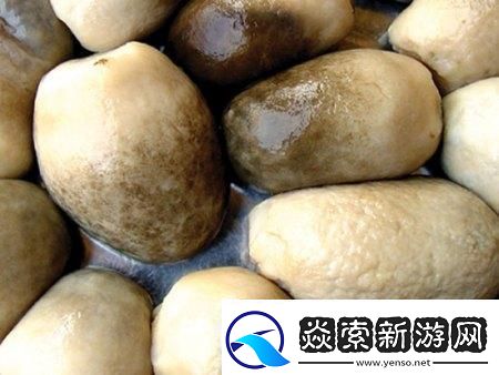 科技狂潮下的细杆椭圆头奇迹