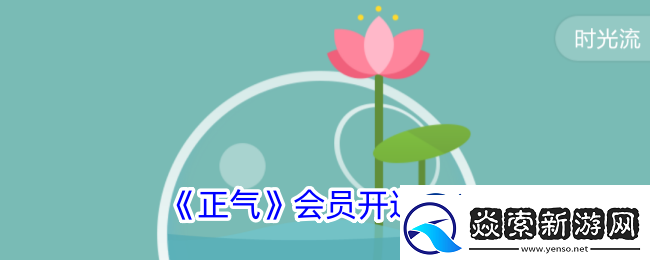 正气app怎么开会员