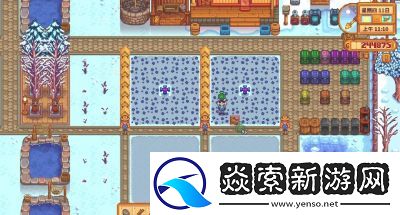 获取星露谷虚空鲑鱼的攻略与方法