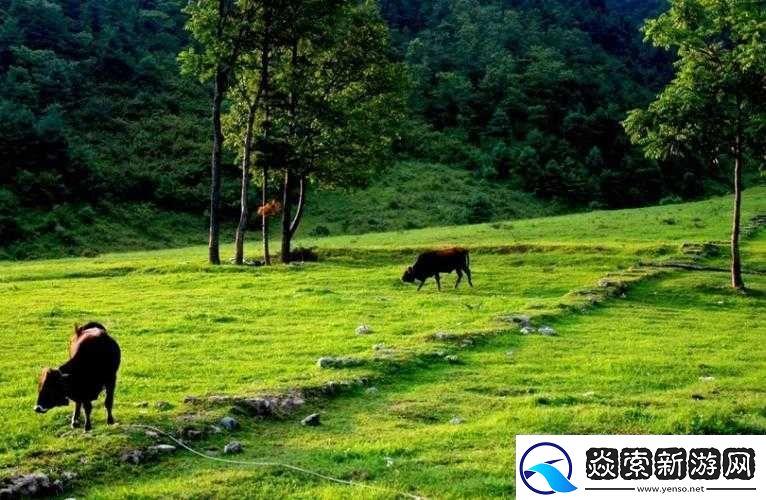 伊春园一路二路三路入口