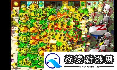 植物大战僵尸杂交版没有声音解决方法分享