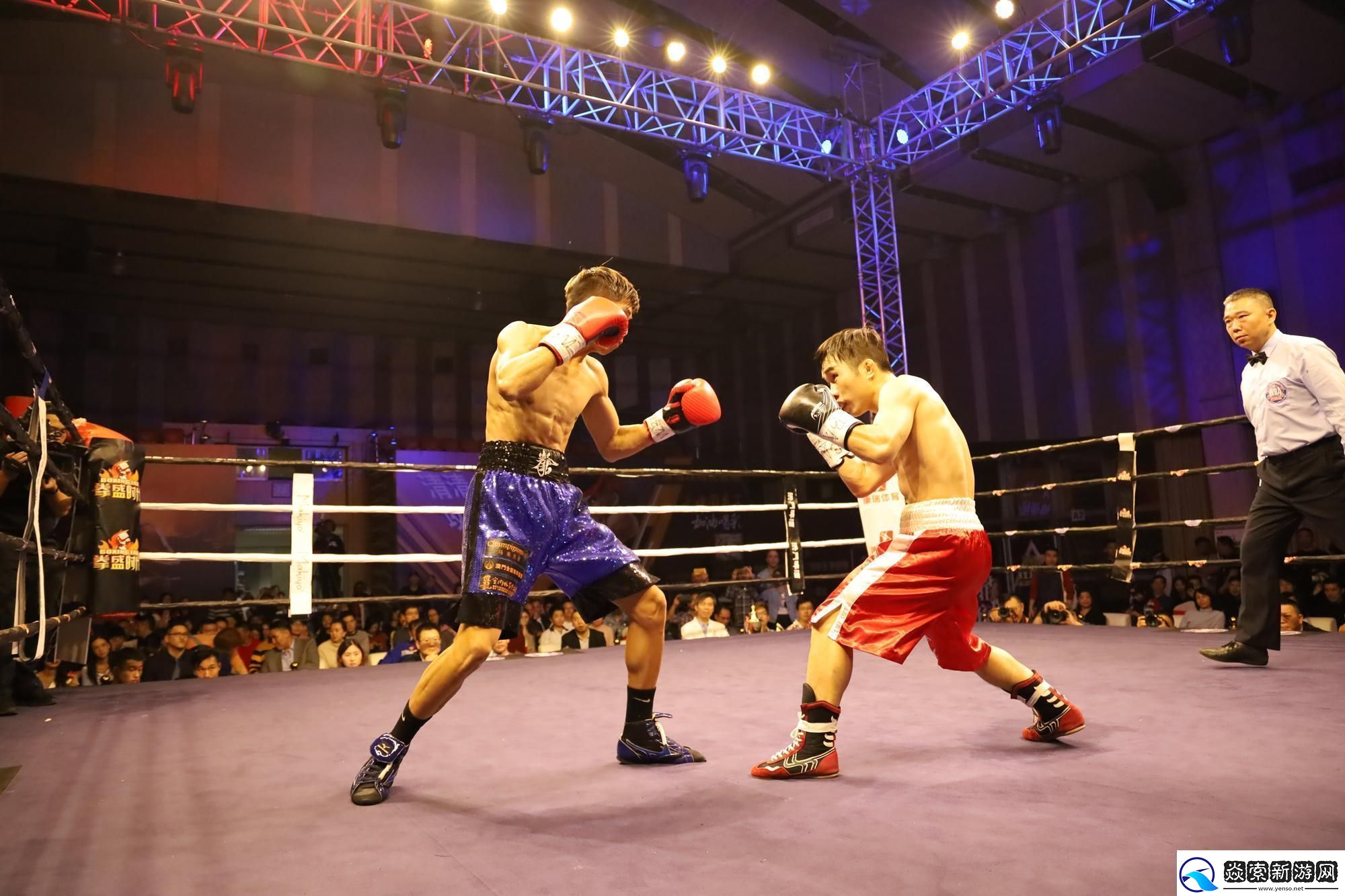 和兴和四大拳王