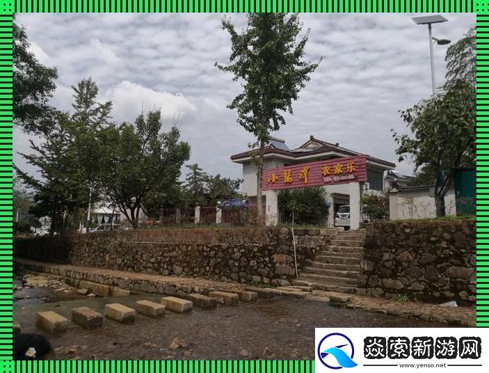 农田甜水潮流起