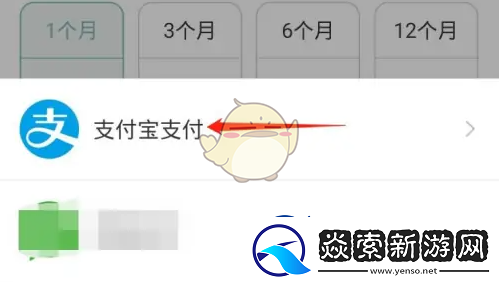 正气app怎么开会员