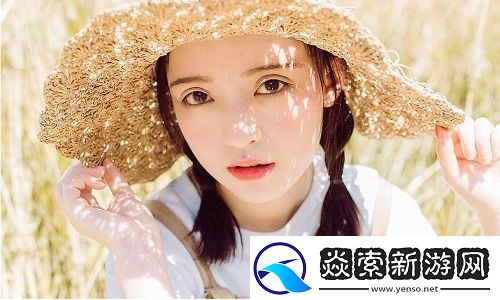 日本免费三色电费2024年