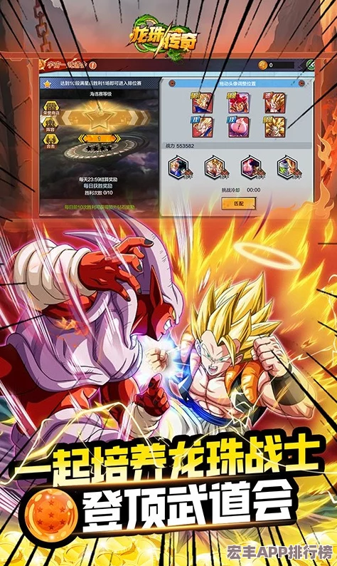 龙珠激斗玩家心声