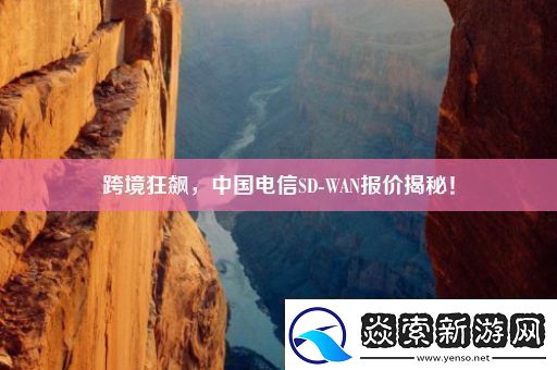 跨境狂飙中国电信SDWAN报价揭秘!
