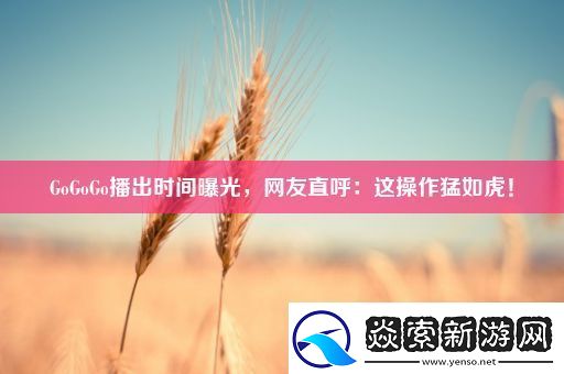 GoGoGo播出时间曝光