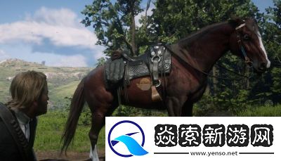 荒野大镖客2马匹排行榜