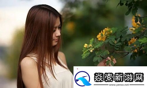 78w78成品站源用户评价