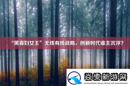 “黑寡妇女王”无线有线战局