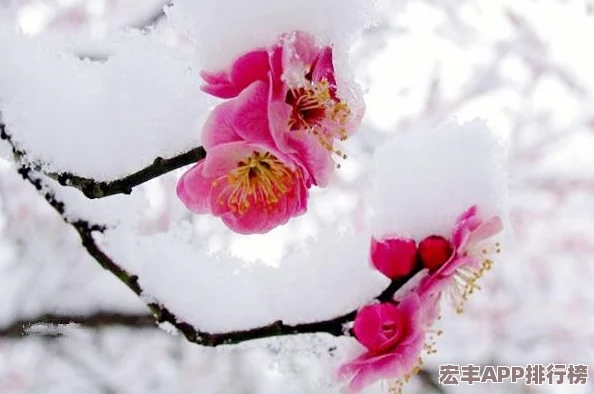 探寻非中秋意境