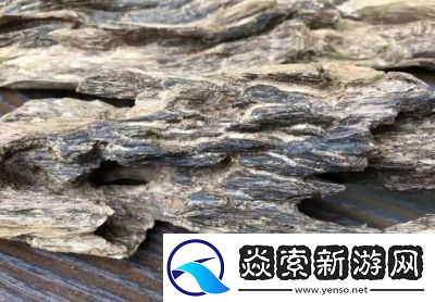 沉香一线产区与二线产区的区别解析