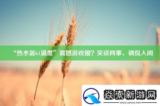 “热水器h1温度”震撼游戏圈