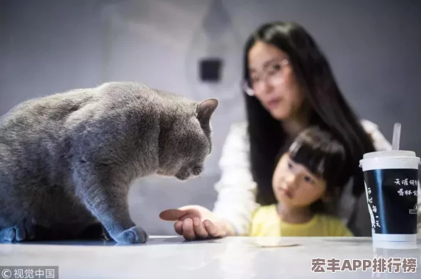 白猫计划梦幻许愿全攻略