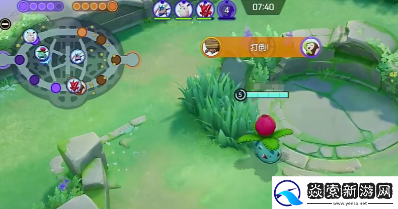 宝可梦大集结妙蛙花持有物怎么选