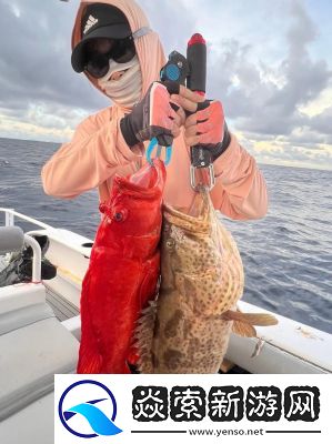 剑网3狼牙堡燕然峰石斑打法攻略详解【必看】