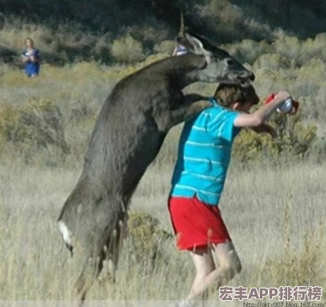 中国撒尿BBwBBwBBw毛