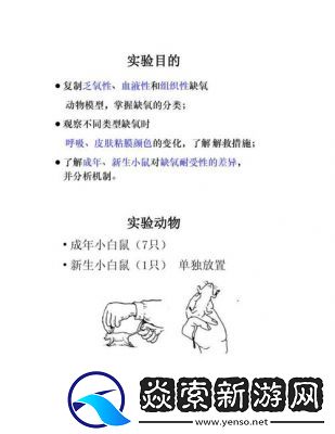 如何捕捉缺氧小动物的技巧