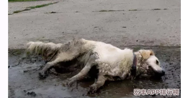 中国撒尿BBwBBwBBw毛