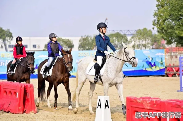 随着马儿的奔跑项弄