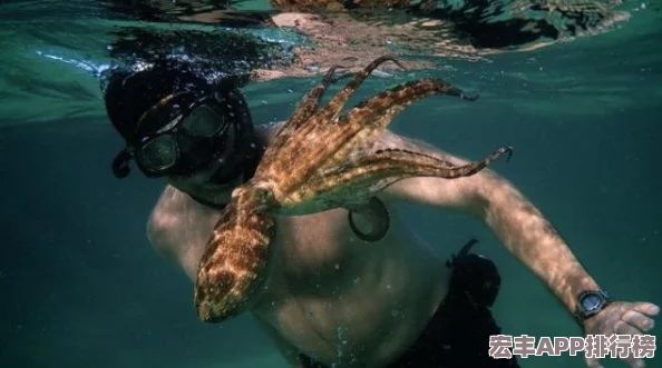 梦幻西游手游终极挑战