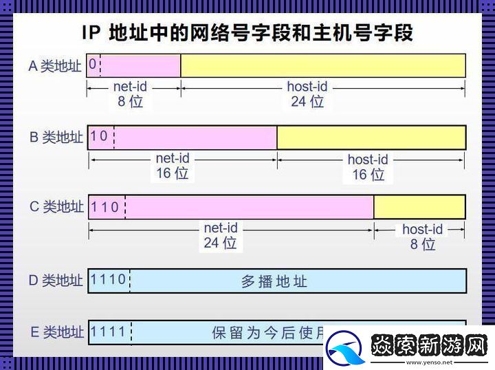 “日本免费服务器IP地址”的奇妙之旅