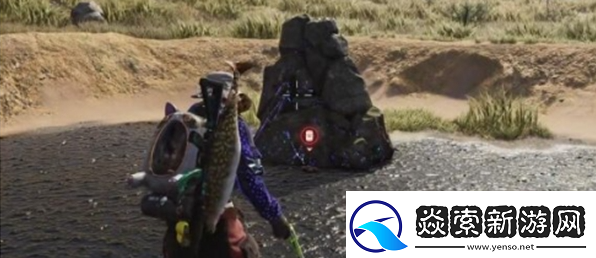 七日世界集成型机关指示器在哪里获得