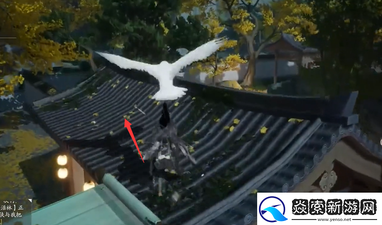 射雕手游梦华录东肆全收集攻略