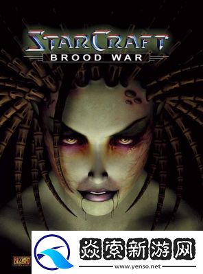 重温星际争霸1.08b