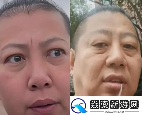 东北雨哥是什么梗络用语东北雨哥梗意思及出处分享