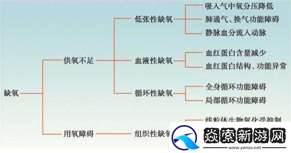 缺氧环境下的温度调节器使用指南
