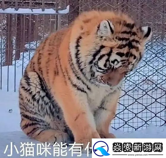 能有什么坏心眼呢是什么梗络用语