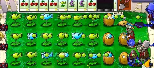 解锁植物大战僵尸未知领域