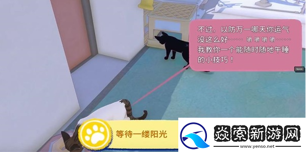小猫咪大城市等待一缕阳光任务攻略