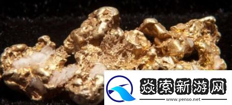 含金量还在上升是什么梗络用语