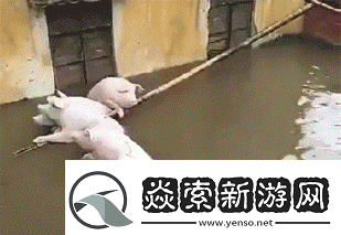 第一次穿高跟鞋的你