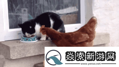 第一次穿高跟鞋的你