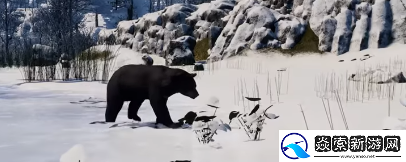 战国王朝青铜材料具体作用介绍