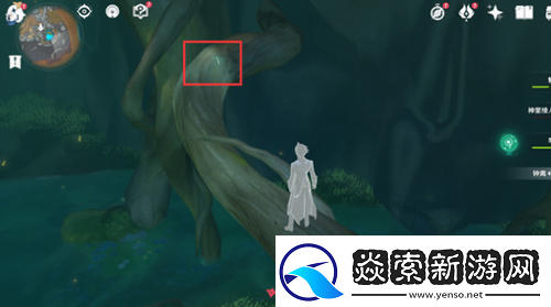 原神干枯的种子有什么用