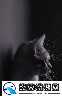 心动小镇灵猫面具获取攻略