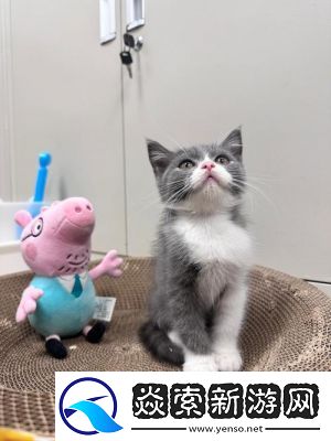 漂亮的领居中文字2个回答