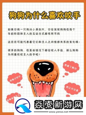 办公室可否干湿你小狗狗