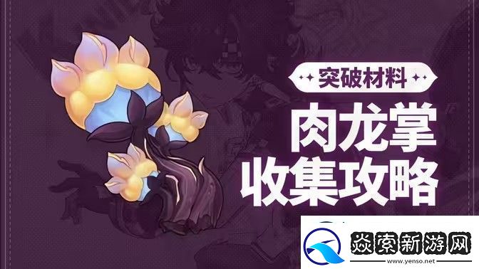 原神肉龙掌采集路线大全