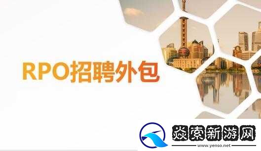 久久人力资源与普通版对比