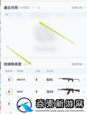 如何隐藏《和平精英的战绩