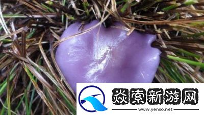 紫色蘑菇根粗大