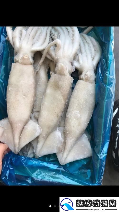 BY2282鱿鱼热炒记