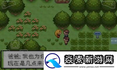 口袋妖怪黑白2恋爱任务全流程指南